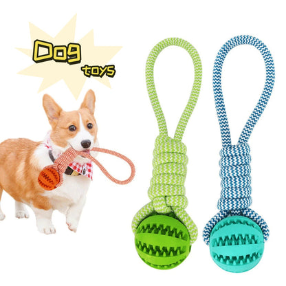 Interactive Dog Toys