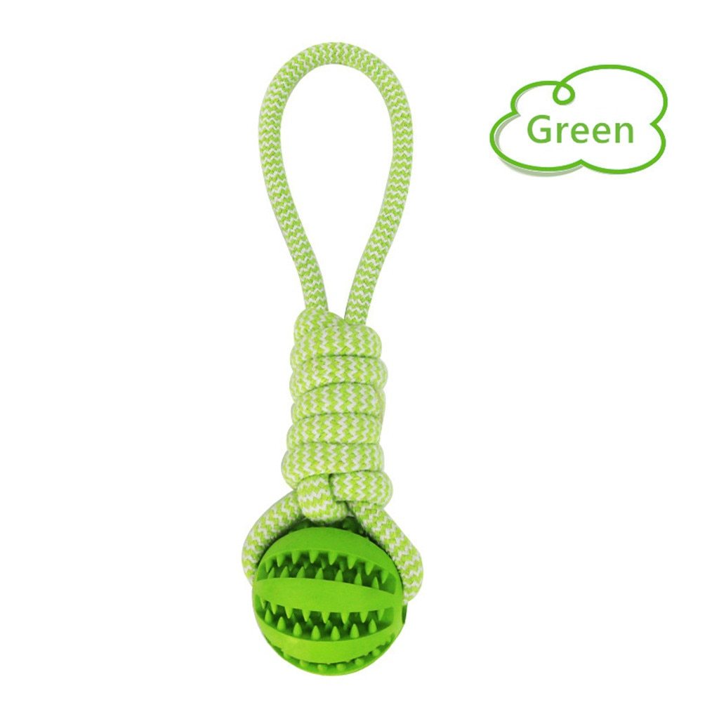 Interactive Dog Toys