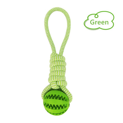 Interactive Dog Toys