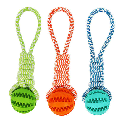 Interactive Dog Toys