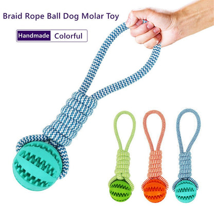 Interactive Dog Toys
