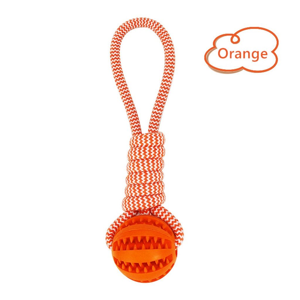 Interactive Dog Toys