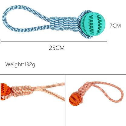 Interactive Dog Toys
