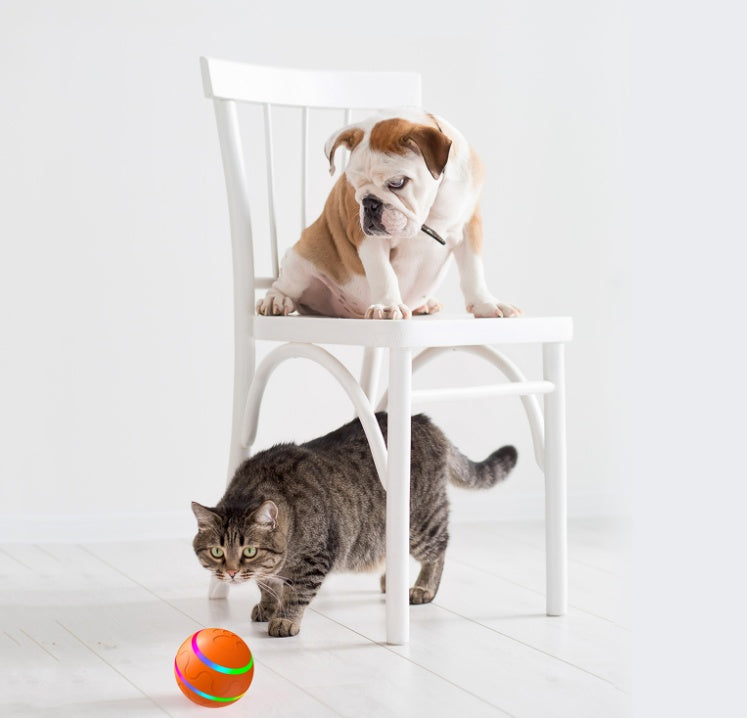 Intelligent USB Cat Toy